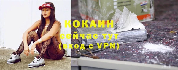 бошки Алзамай