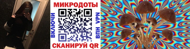 Галлюциногенные грибы прущие грибы  что такое наркотик  Кирово-Чепецк 