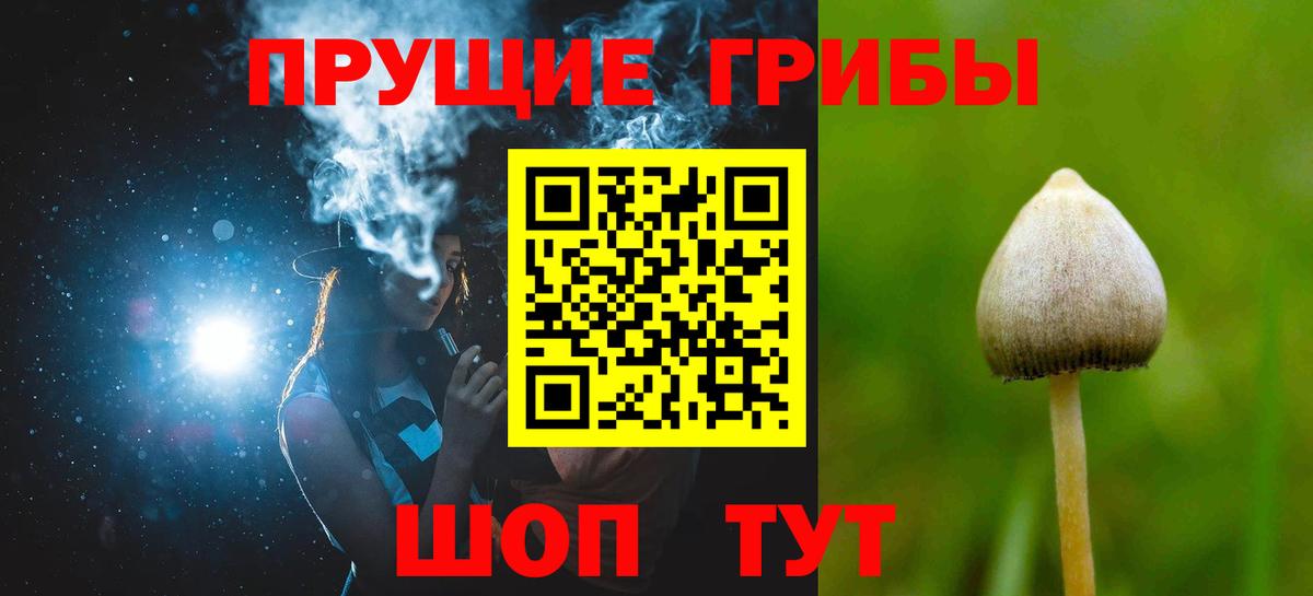 Галлюциногенные грибы GOLDEN TEACHER  Вход с VPN  Кирово-Чепецк 